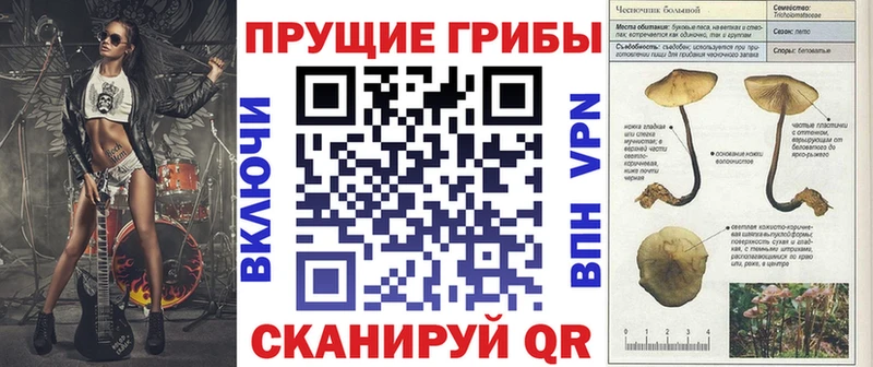 Псилоцибиновые грибы мицелий  Будённовск 